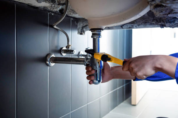 Best Plumbing System Maintenance  in Unionville, MO